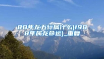 88年龙五行属什么(1988年属龙命运)_重复