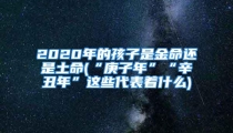 2020年的孩子是金命还是土命(“庚子年”“辛丑年”这些代表着什么)