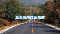 怎么测桃花运指数
