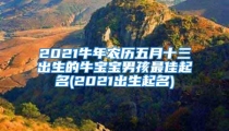 2021牛年农历五月十三出生的牛宝宝男孩最佳起名(2021出生起名)