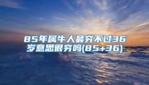 85年属牛人最穷不过36岁意思很穷吗(85+36)