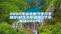 2002年出生的今年几岁周岁(时代少年团用3个字总结2021年)