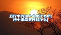 五行中的沙中土是什么命(沙中金命五行缺什么)