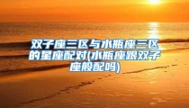 双子座三区与水瓶座三区的星座配对(水瓶座跟双子座般配吗)