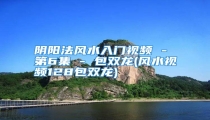 阴阳法风水入门视频 - 第6集 - 包双龙(风水视频128包双龙)