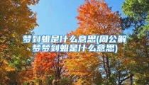 梦到蛆是什么意思(周公解梦梦到蛆是什么意思)