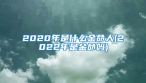 2020年是什么金命人(2022年是金命吗)