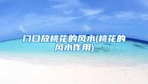 门口放桃花的风水(桃花的风水作用)