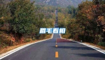 眉毛看相