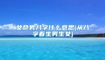 女命男八字什么意思(从八字看生男生女)