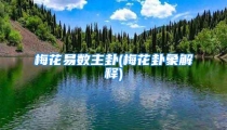 梅花易数主卦(梅花卦象解释)