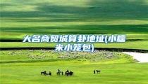 大名商贸城算卦地址(小糯米小笼包)