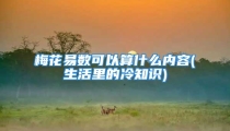 梅花易数可以算什么内容(生活里的冷知识)