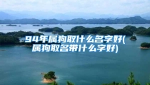 94年属狗取什么名字好(属狗取名带什么字好)