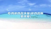 吃鸡游戏名字女(游戏名称女可爱)