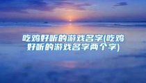 吃鸡好听的游戏名字(吃鸡好听的游戏名字两个字)