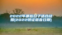 2022年哪些日子适合结婚(2022领证谐音日期)