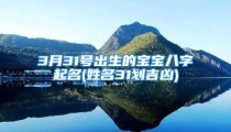 3月31号出生的宝宝八字起名(姓名31划吉凶)
