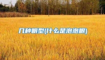 几种眼型(什么是泡泡眼)