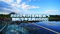 2020年1月生肖蛇运气如何(今年生肖2020)