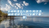 五格数理五行属性(取名五格数理和五行八字哪个重要)