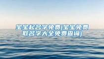 宝宝起名字免费(宝宝免费取名字大全免费查询)