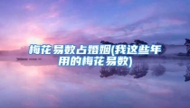 梅花易数占婚姻(我这些年用的梅花易数)