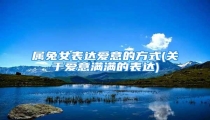 属兔女表达爱意的方式(关于爱意满满的表达)