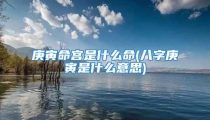 庚寅命宫是什么命(八字庚寅是什么意思)