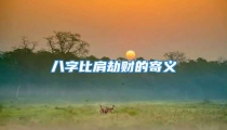 八字比肩劫财的寄义