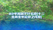 82年狗属于什么命(十二生肖生年论命之戌狗)