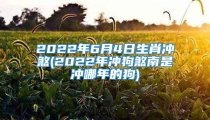 2022年6月4日生肖冲煞(2022年冲狗煞南是冲哪年的狗)
