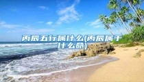 丙辰五行属什么(丙辰属于什么命)