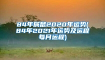 84年属鼠2020年运势(84年2021年运势及运程每月运程)