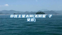 命宫主星太阴(太阴星 子女宫)