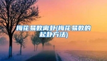 梅花易数离卦(梅花易数的起卦方法)