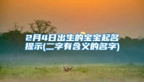 2月4日出生的宝宝起名提示(二字有含义的名字)