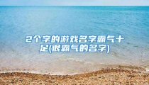 2个字的游戏名字霸气十足(很霸气的名字)