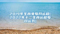 2019年生肖兔每月运程(2022年十二生肖运程每月运势)