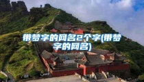 带梦字的网名2个字(带梦字的网名)
