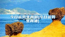 今日运势生肖鼠(今日运势生肖猪)