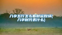 八字五行怎么看财运好坏(八字财代表什么)