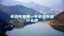 辛丑年是哪一年辛丑年是什么命