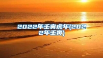2022年壬寅虎年(2022年壬寅)