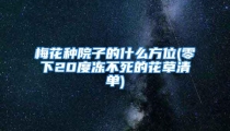 梅花种院子的什么方位(零下20度冻不死的花草清单)