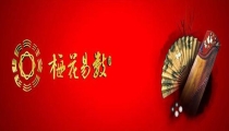 梅花易数 离婚(梅花易数周易预测实战案例)