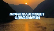 82年属狗大海水命缺什么(适合自由职业)