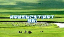怀孕梦见自己生了(怀孕了梦到)