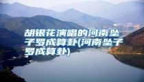 胡银花演唱的河南坠子罗成算卦(河南坠子罗成算卦)