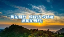 梅花易数 教程(孔令伟老师梅花易数)